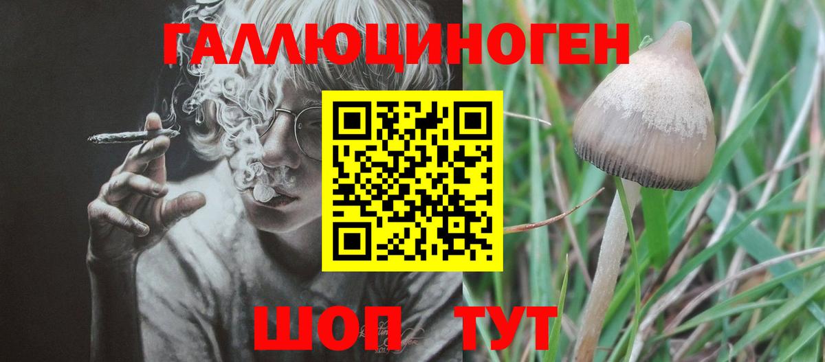 Псилоцибиновые грибы ЛСД Можга
